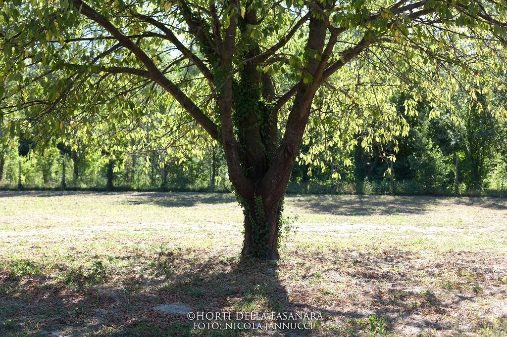 Pensjonat Horti Della Fasanara Ferrara Zewnętrze zdjęcie