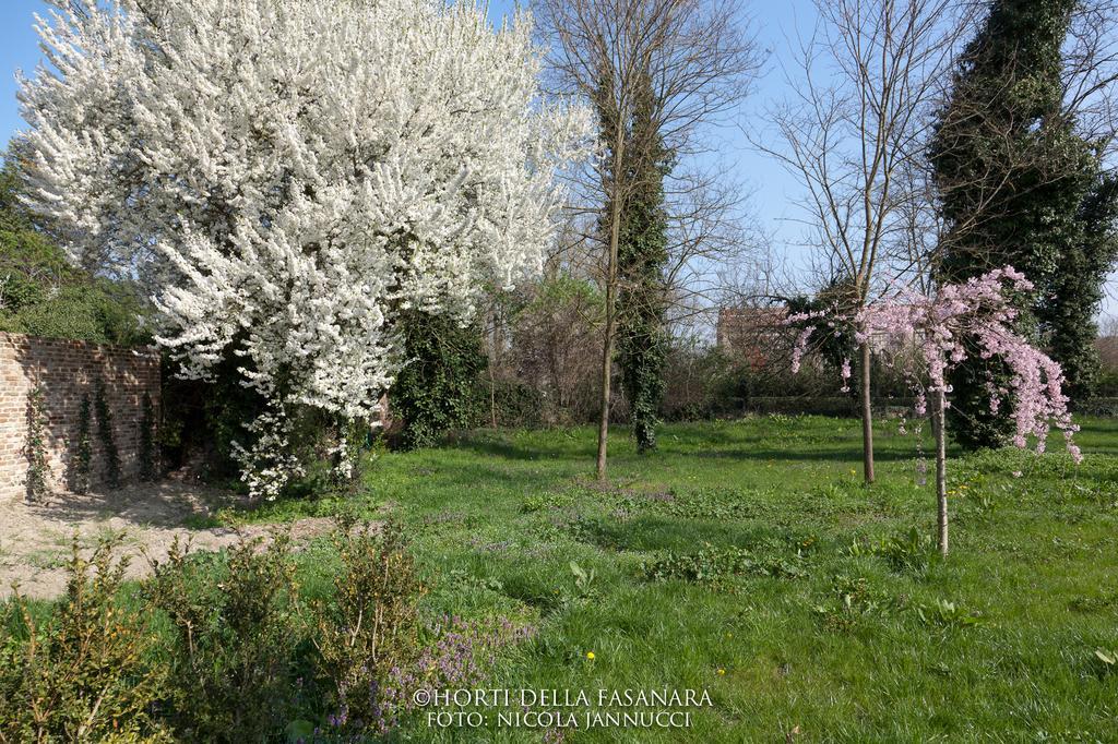 Pensjonat Horti Della Fasanara Ferrara Zewnętrze zdjęcie