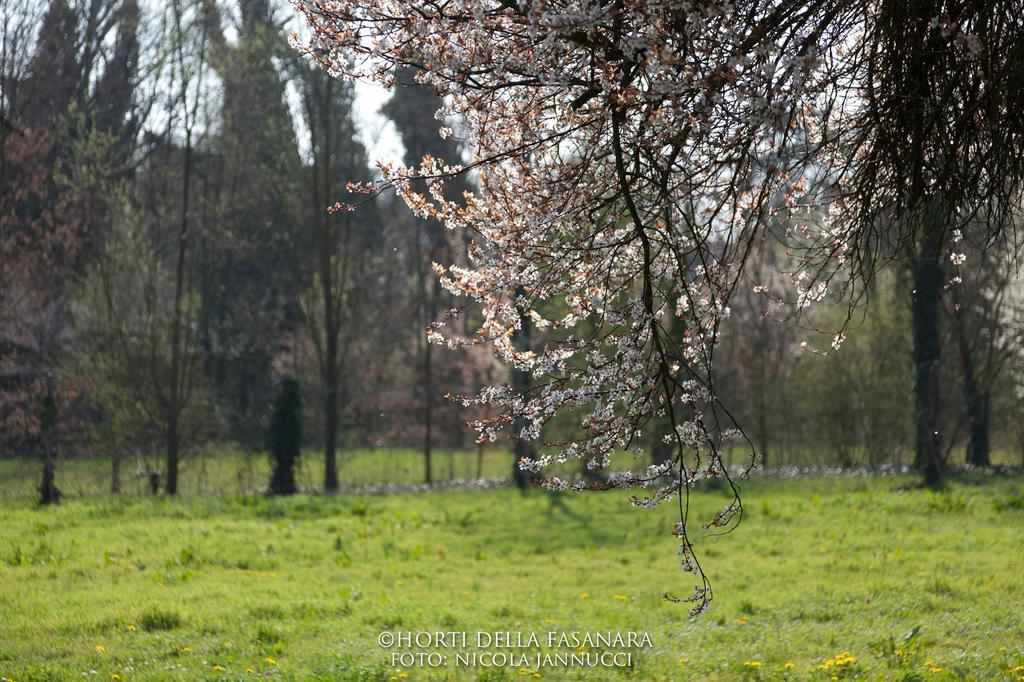 Pensjonat Horti Della Fasanara Ferrara Zewnętrze zdjęcie